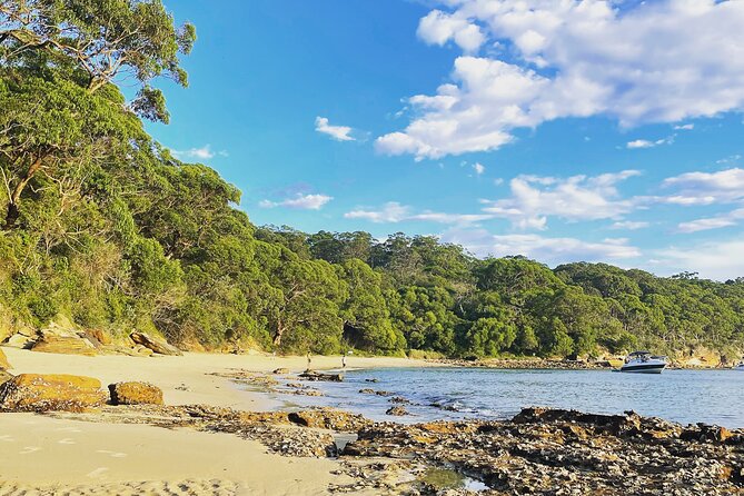 2-Hour Guided Walking Tour in Sydney Harbour National Park - Common questions