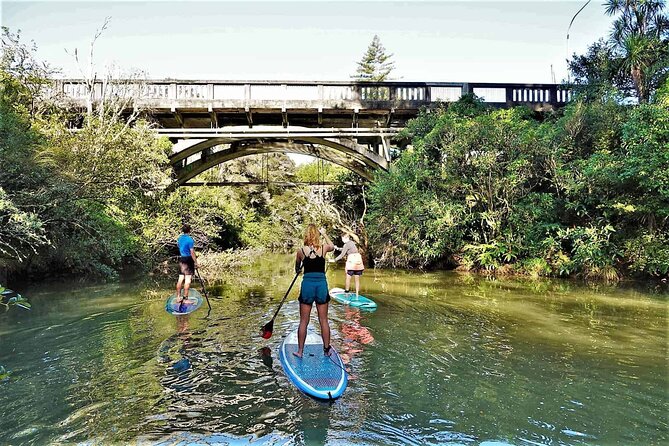 2-Hour Stand-Up Paddle Boarding Tour to Lucas Creek Waterfall - Meeting and Pickup Information