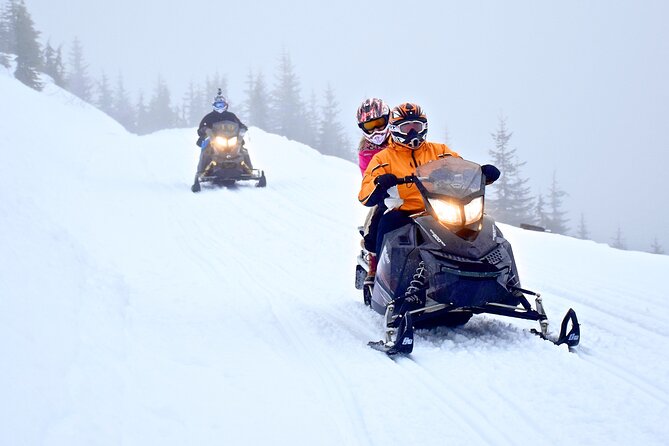 2 Hour Whistler Wilderness Adventure Snowmobile Tour - Morning and Afternoon Departure Options