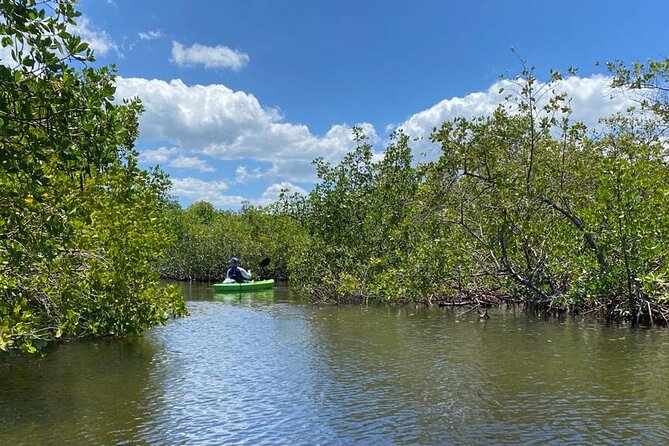2 Hours Kayak Eco Tour in Tarpon Springs - Cancellation Policy