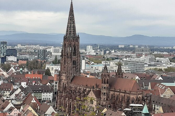 2 Hours Private Guided Walking Tour of Freiburg - Meeting Point Information