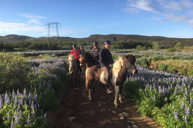 2 Hours Private Horse Riding to Lake Hafravatn, Reykjavík - Mos - Cancellation Policy