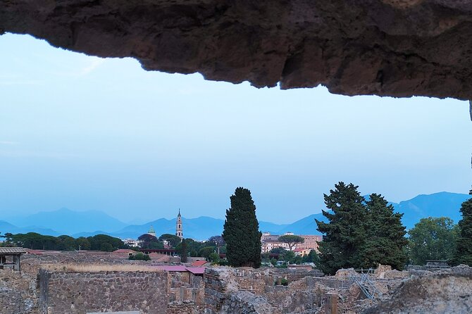 2 Hours Private Tour in Pompeii With Archaeologist - Exclusive Pompeii Insights