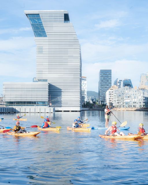 2.hr Oslo Kayak Tour “Fjord City” - Experience Highlights