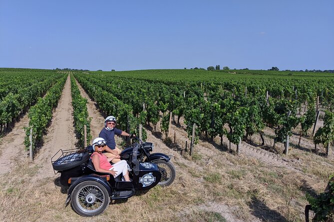 2 in 1 - Visit of Bordeaux and Excursion in a Vineyard - Guided Tour of Historic Bordeaux