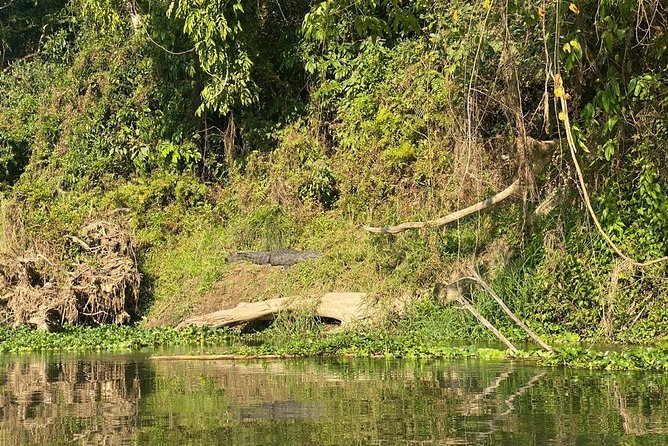 2 Nights 3 Days Chitwan Wildlife Jungle Safari Package Tour - Accommodation Details