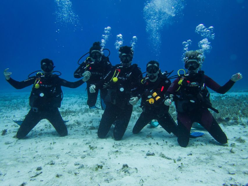 2 Tank Dive in Cozumel's Marine National Park - Dive Description