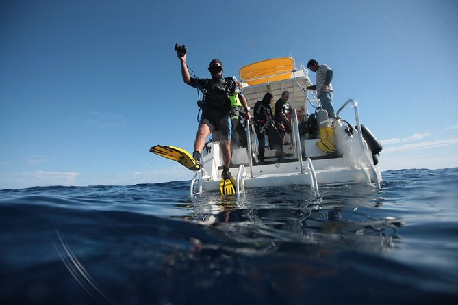 2 Tank Tour in Cabo San Lucas Reserve, Certified Divers With MANTA - Dive Locations and Marine Life