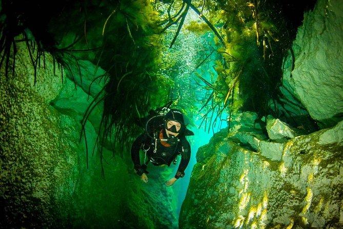 2 Tanks Cenote Diving Adventure in Tulum for Certified Divers - Safety Briefing