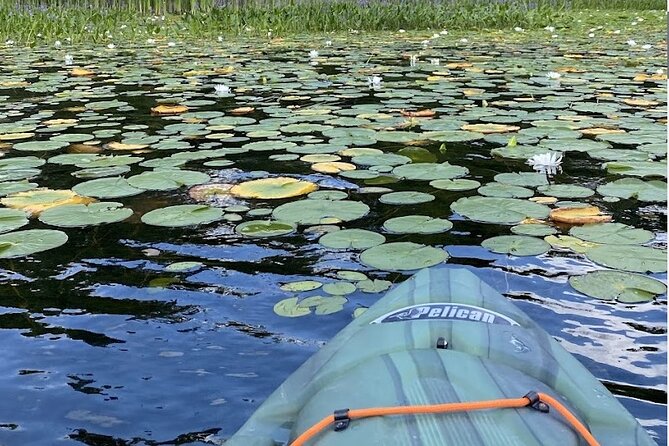 24-48 Hour Kayak Rental in Marmora, Ontario - Inclusions and Expectations