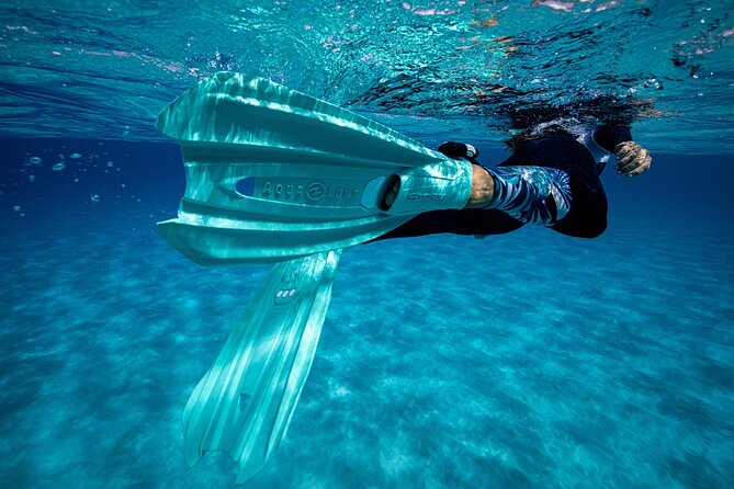 24h Snorkel Rental Equipment, Discover Tenerife on Your Own! - How to Book and Pickup Details