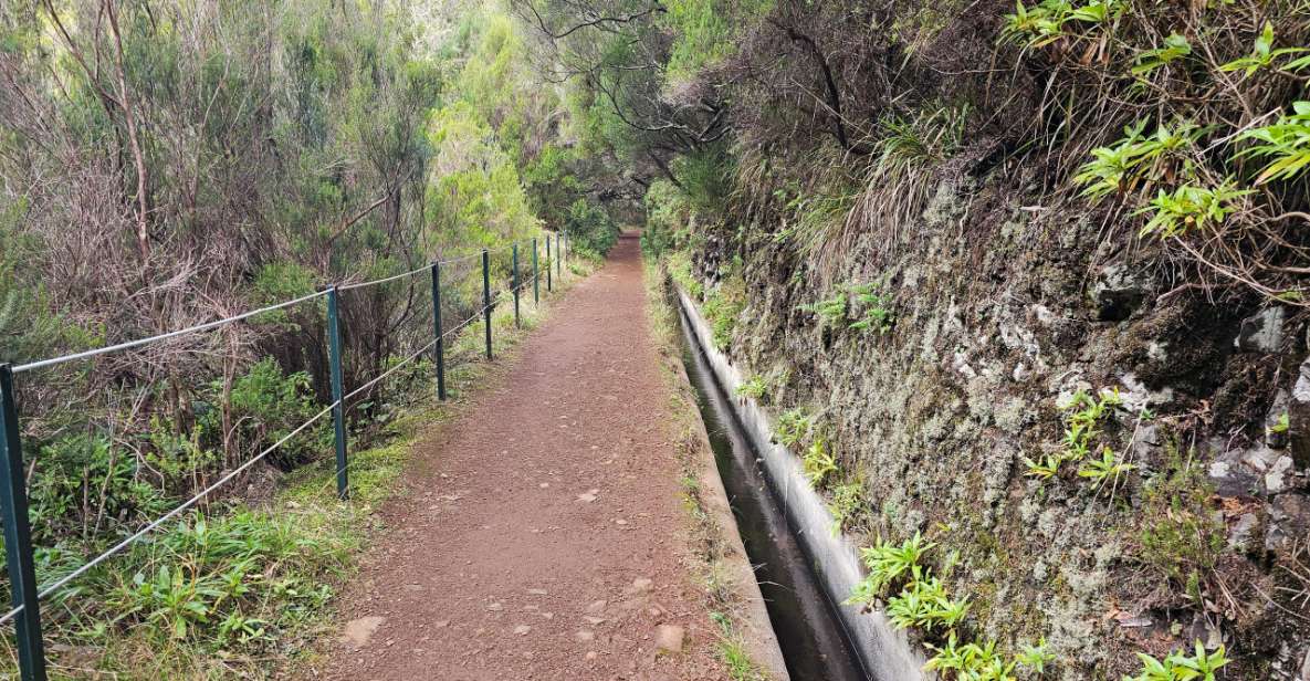 25 Fontes Levada Hike - Rabaçal (Calheta) - Group Experience