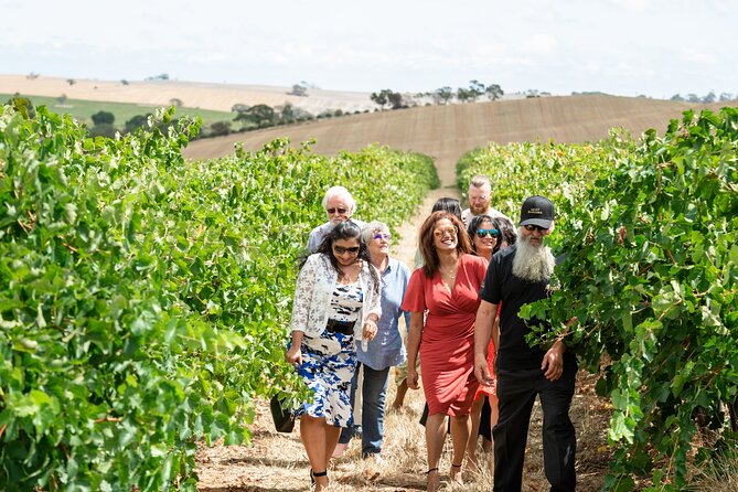 2h Wine Experience, Vineyard Walk, 6 Wines, Charcuterie Board - Cancellation Policy