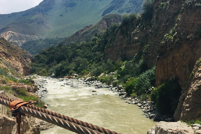 3 Day 2 Night Trek / Colca Canyon - Wildlife Encounters