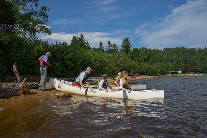 3-Day Algonquin Park Canoe Trip - Wildlife Encounters