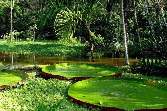 3-Day Amazon Jungle Tour at Eco Amazonia Lodge ECOLOGICO - Lodge Facilities and Activities