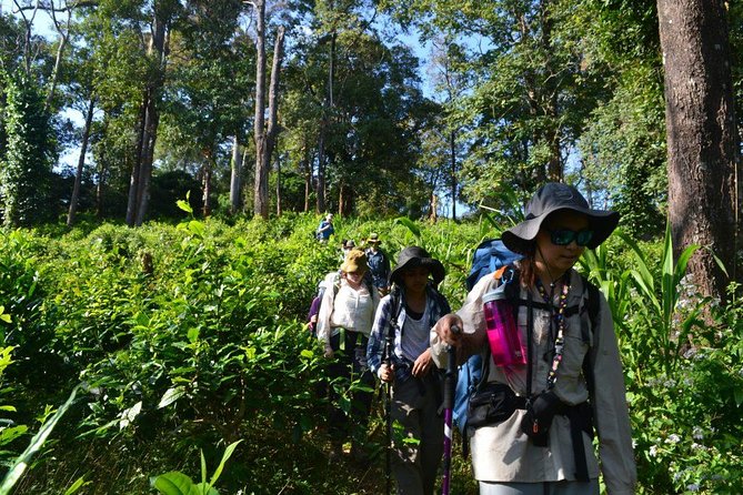 3-Day Chiang Dao Mountain Trek - Accommodation and Meals