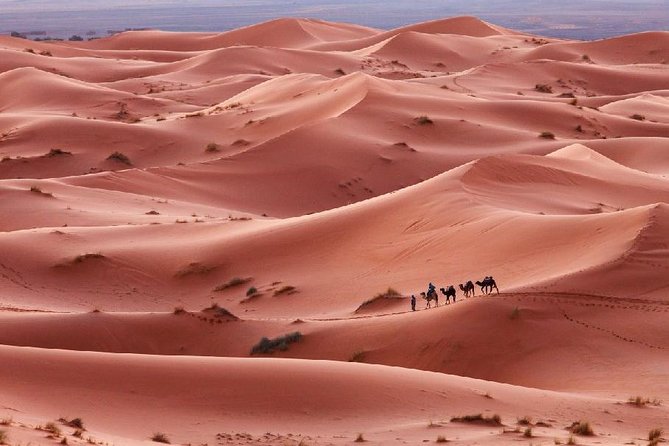 3-Day Desert Experience From Marrakech - Booking and Pricing Information