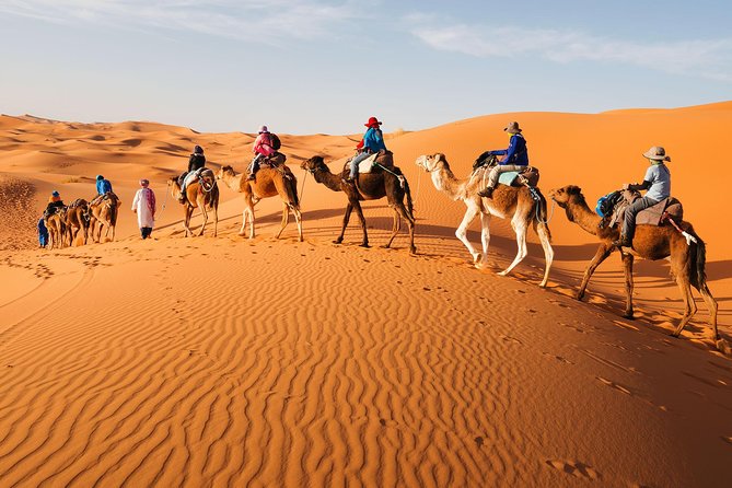 3 Day Desert Tour From Marrakech To Fes - Included Services