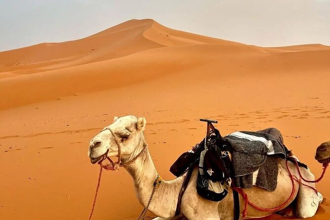 3 Day Desert Tour From Marrakech To Merzouga Dunes - Accommodation Details