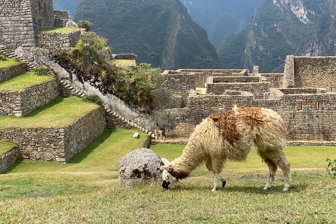 3-Day Inca Jungle Trek to Machu Picchu - Essential Packing List