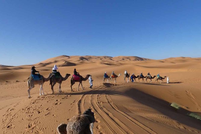 3-Day Merzouga Desert Tour From Marrakech - Logistics and Pickup