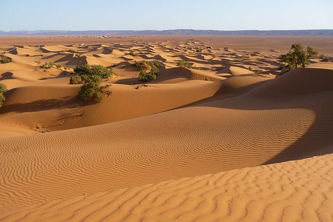 3-Day Private Morocco Desert Tour From Agadir to Erg Chigaga Dunes - Customer Reviews