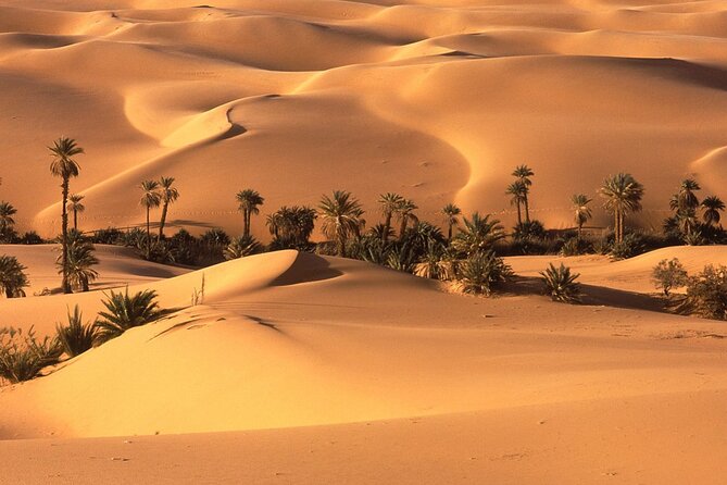 3-Day Sahara Desert To Merzouga From Marrakech - Transport Information