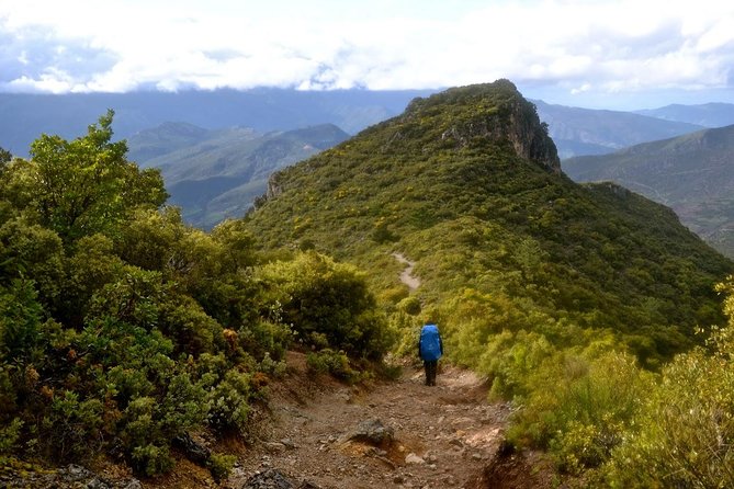 3-Day Trek Through Talassemtane National Park From Chefchaouen - Wildlife Spotting Opportunities