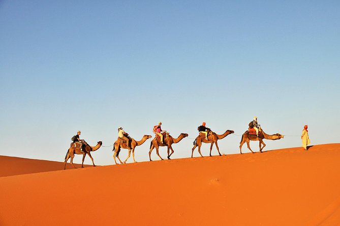 3-Day Tunisia Sahara Desert Camel Trek From Douz - Accommodation Information