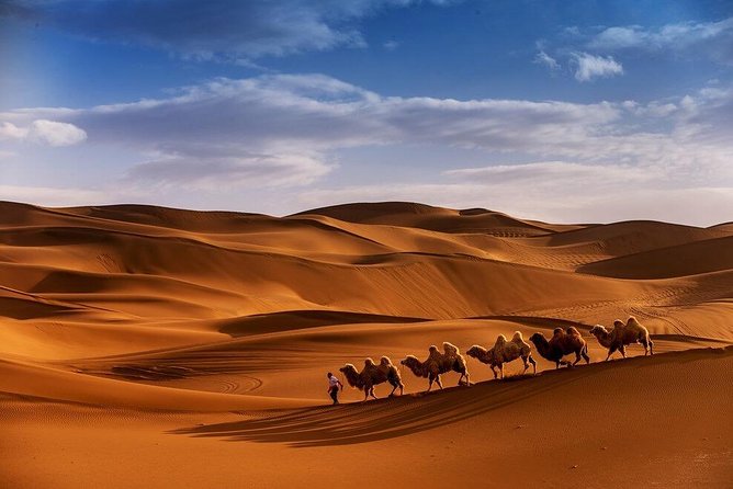 3 Days 2 Nights Trip Starting From Fez Ending in Fez via Sahara Desert Merzouga - Desert Activities