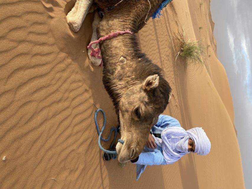 3 Days Camel Trekking in Morocco Desert Tour - Detailed Tour Itinerary