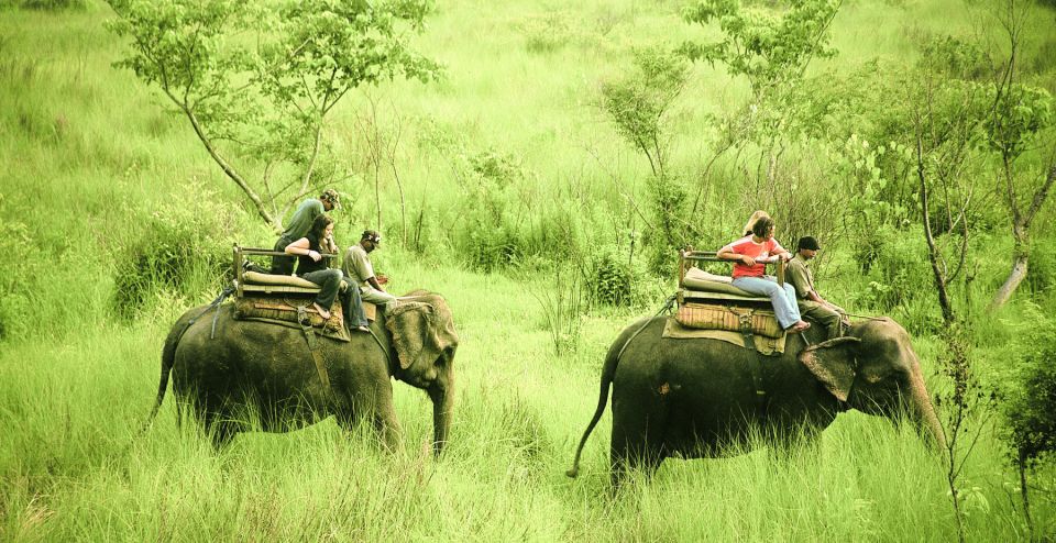 3 Days Chitwan Safari Tour - Additional Experiences