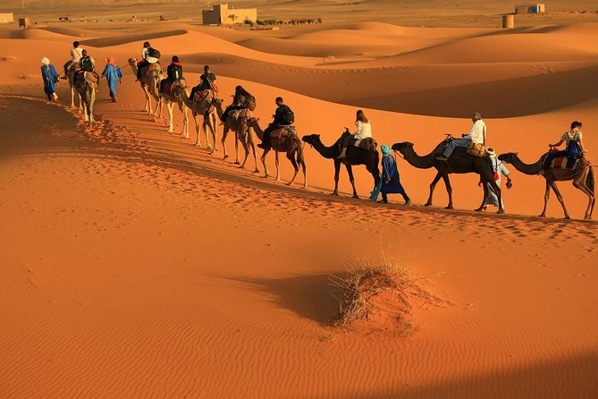 3 Days Desert Tour From Fez to Merzouga Dunes & Camel Trek Ending in Marrakech - Last Words