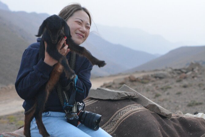 3 Days Homestay With Last Berber Nomads in the Atlas Mountains - Cultural Immersion and Traditional Cuisine