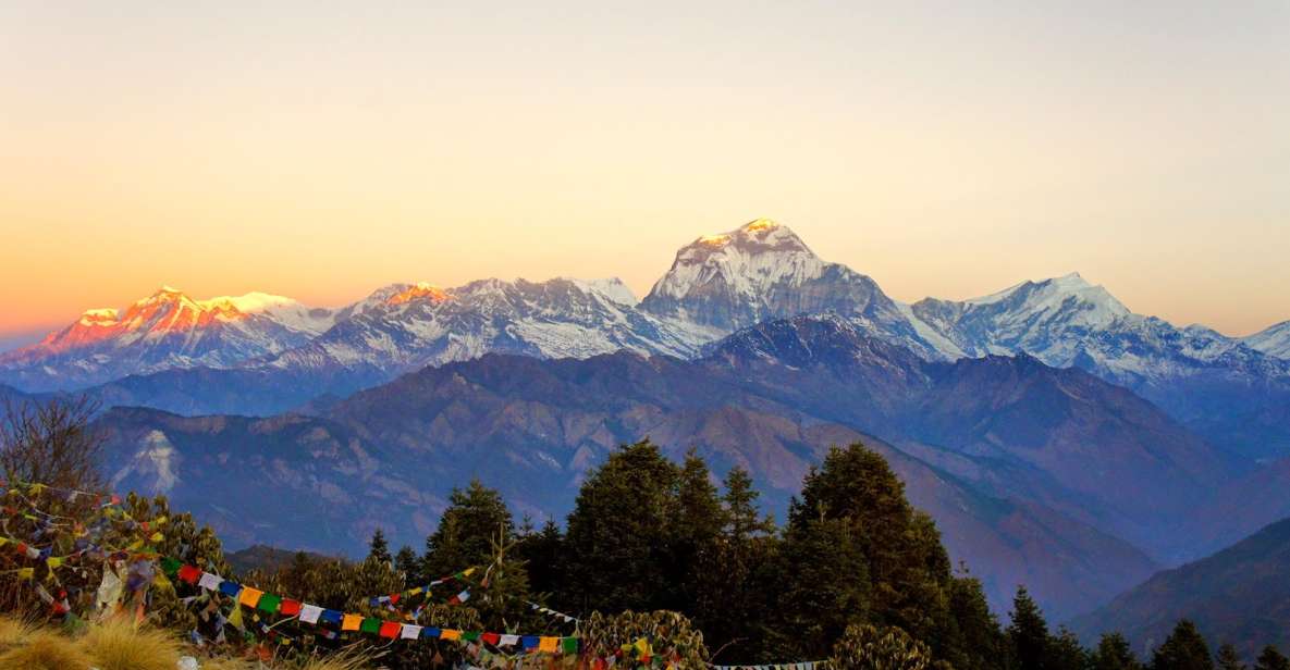 3 Days Poon Hill Trek With Alpine Eco Trek - Booking Information