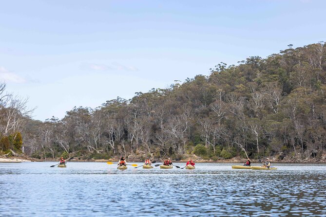 3 Hour Aboriginal Culture Tour With Kayaking in Coraki Drive - Last Words