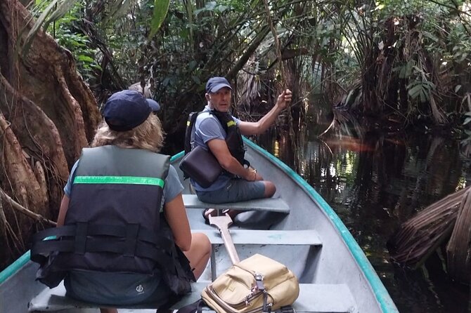 3-Hour Canoe Tour Through Tortuguero National Park - Meeting Point and Logistics