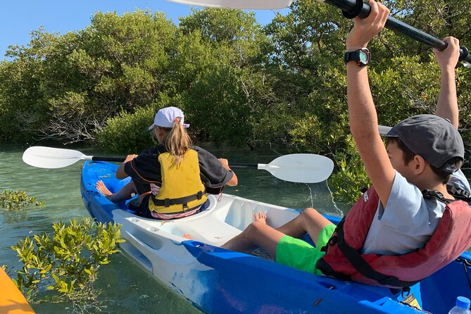 3-Hour Kayaking Eco Adventure - Mangrove Purple Island - Tide Guidelines