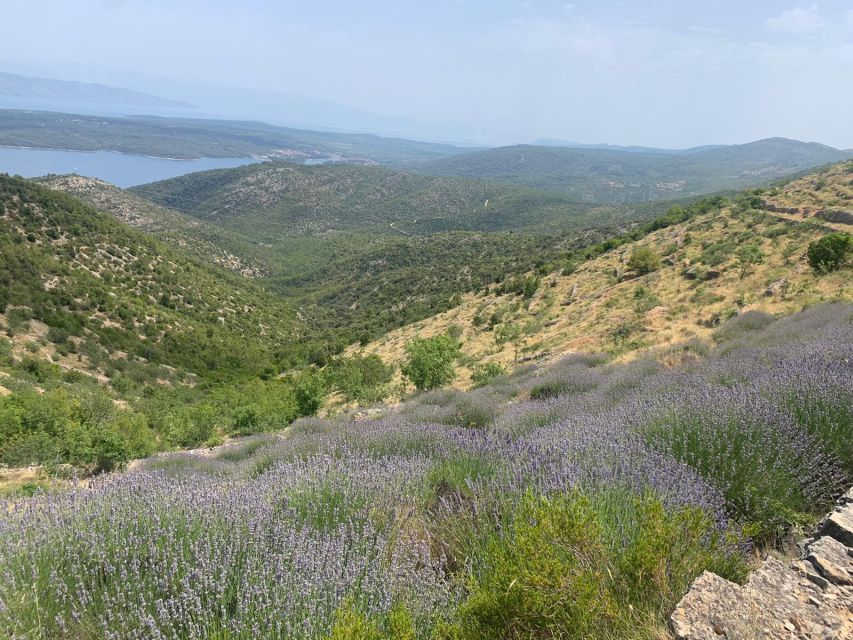 3-Hour Lavender Tour From Hvar - Itinerary Highlights