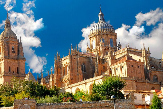 3-hour Private Tour of Salamanca - Meeting Point and Pickup Instructions