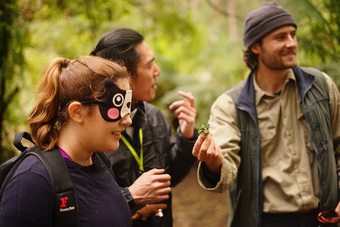 3 Hour Rainforest Walking Tour in Badger Creek - Common questions