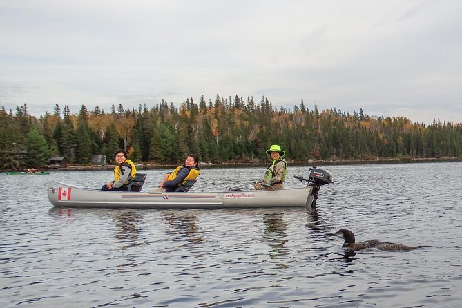 3 Hour VIP Electric Canoe Photography Tour (Private, Price Is for 2 People) - Capture Natures Beauty With Photography