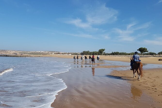 3 Hours Horse Riding in Essaouira, Beach, Forest and Dunes - Common questions