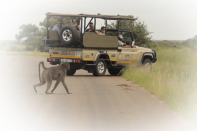 3 Night & 4 Day Private Kruger Park Safari - Booking Information and Pricing