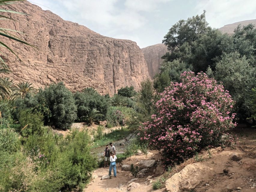 3 Valleys & Berber Villages and Atlas Mountains and - Scenic Beauty of Atlas Mountains