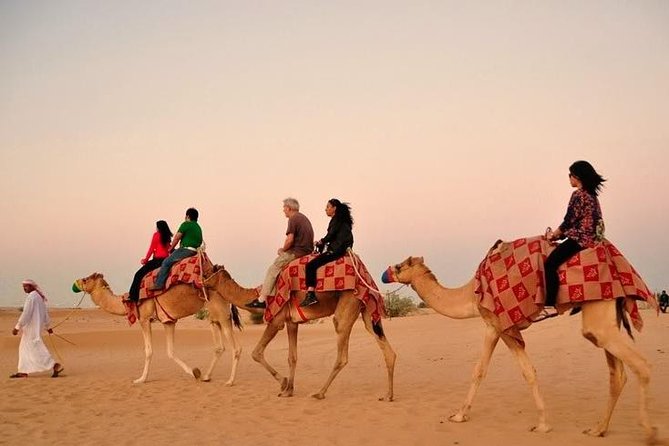 30 Mins Quad Bike, Desert Safari With BBQ Dinner and Camel Ride in Dubai - Unforgettable Camel Ride Experience