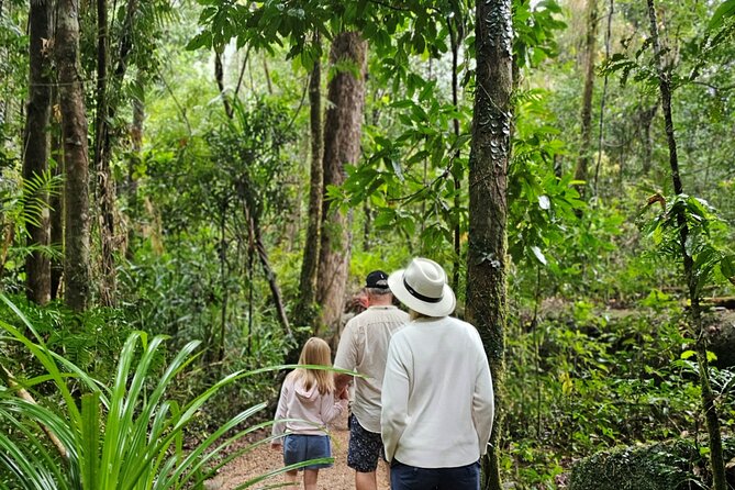 3B Daintree Rainforest, Mossman Gorge, Crocodile Wildlife Cruise - Reviews and Ratings