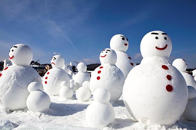 3day Korea Winter Private Tour to Nami, Ski Resort and Ice Fishing Festival - Booking Details