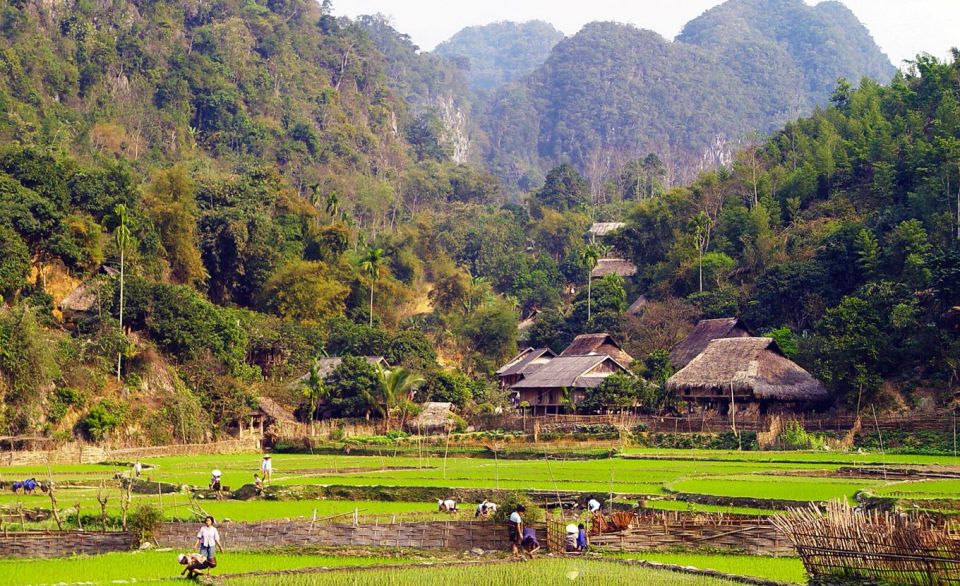 3daytrip:Puluong Nature Reserve -Ninh Binh Great Attraction - Activities and Attractions to Explore
